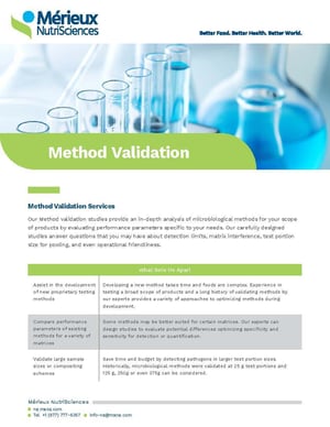 Flyer-Method Validation