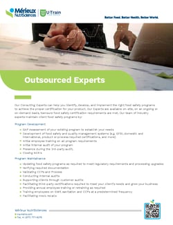 Flyer-outsourced experts