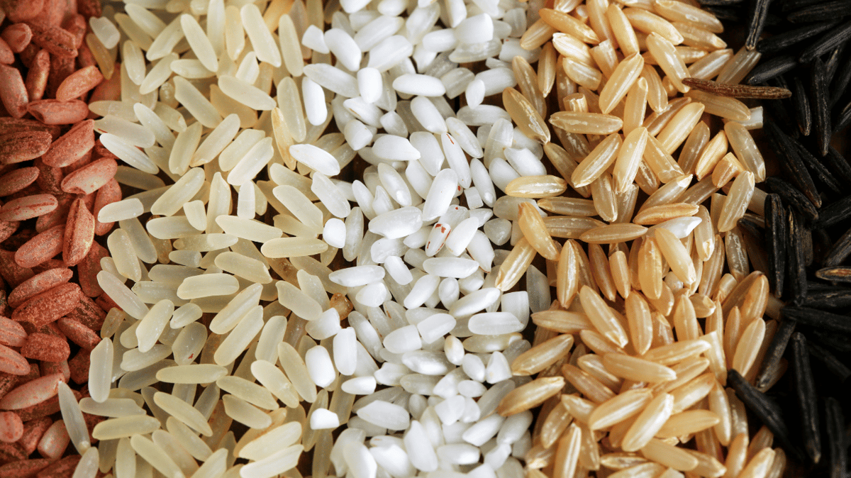 Mérieux NutriSciences Rice and Grains FDA Detention
