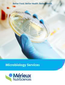 Microbiology Testing