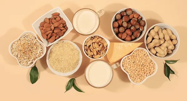 Mérieux NutriSciences (MxNS) Plant-based Dairies Blog