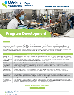 program development flyer thumbnail