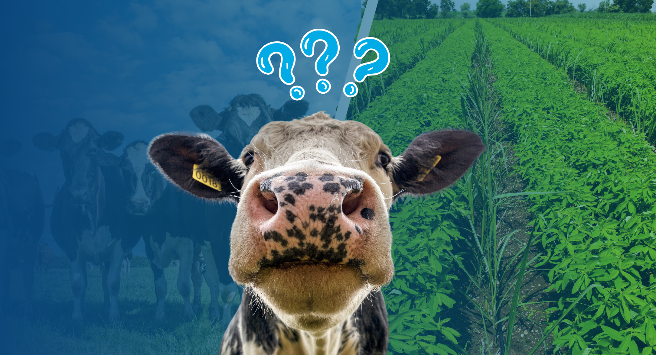 Mérieux NutriSciences (MxNS) Plant-based Dairies Blog
