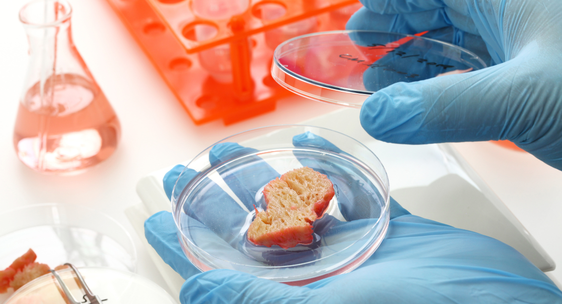 Cultured Meat Products Enter Us Market, USDA Approved