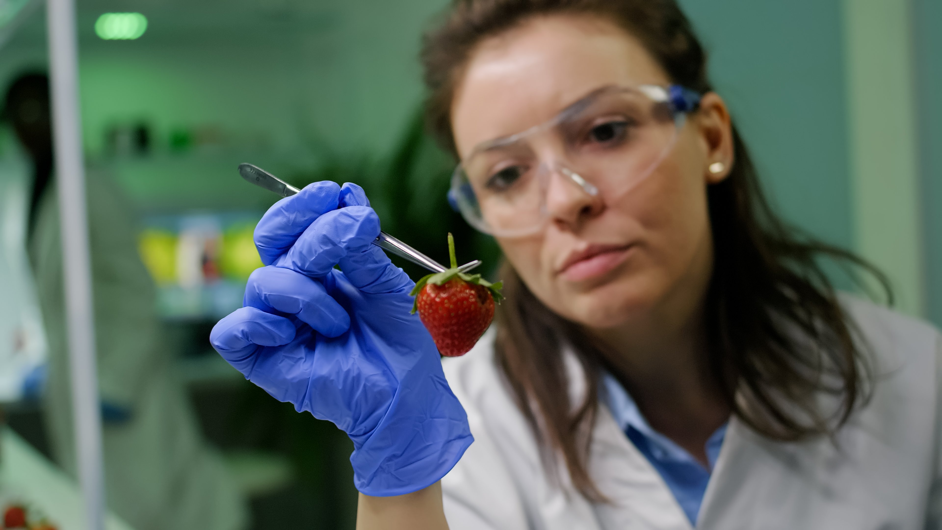 Mérieux NutriSciences expert performing strawberry contaminant testing.