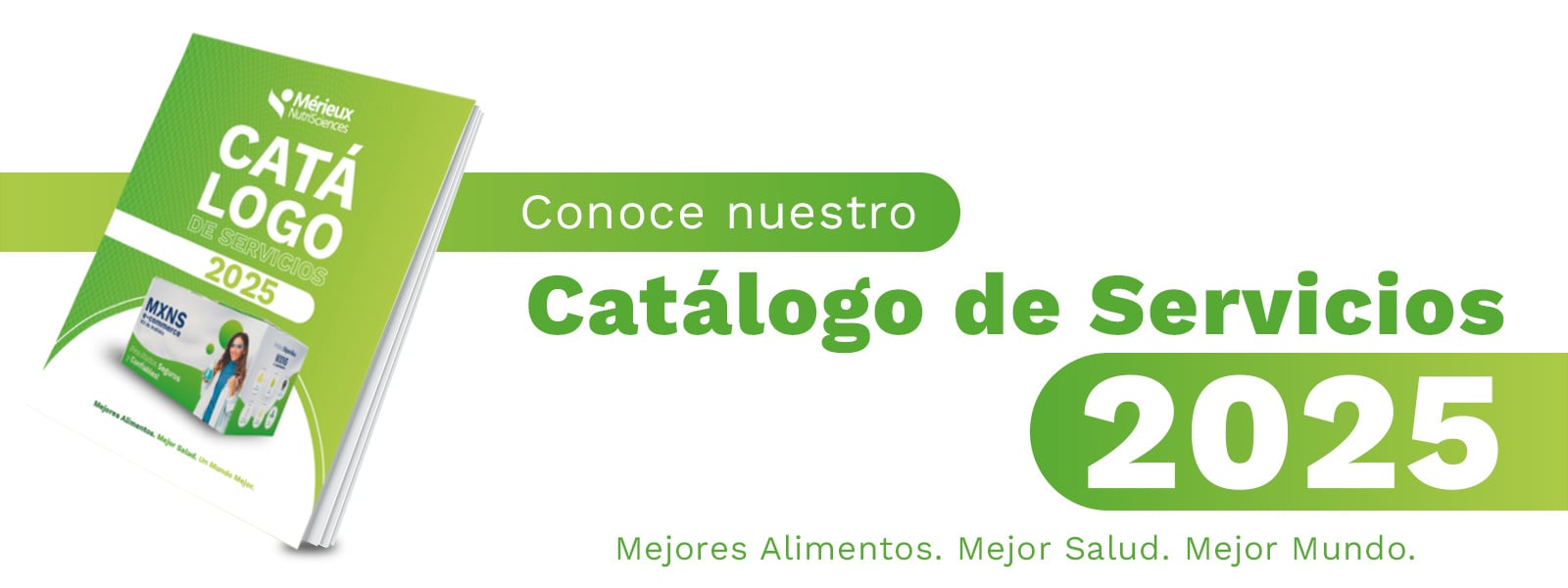 catalogo